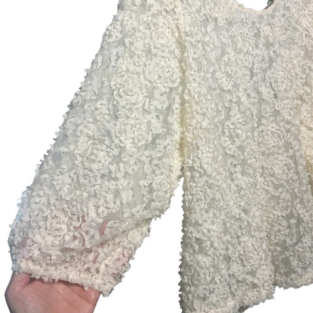 Floral Lace Sheer Puff Sleeve Blouse - Picture 6 of 11
